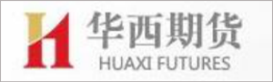  深圳希施玛数据科技有限公司